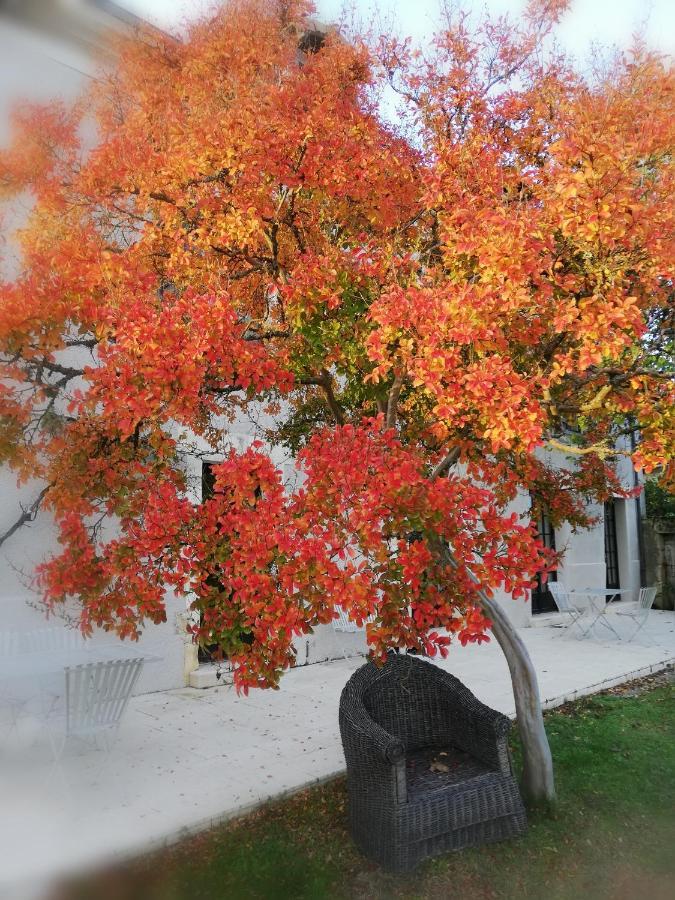 L'Escapade Bed & Breakfast Brantome Bagian luar foto